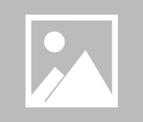 天博体育登录入口-李宁豪赌“火柴棍”，能复制安踏的始祖鸟“神话”吗？